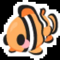 Clownfish MFR