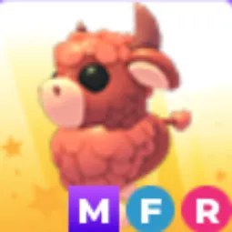 MFR Angus Bull