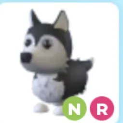 NR Husky Adm