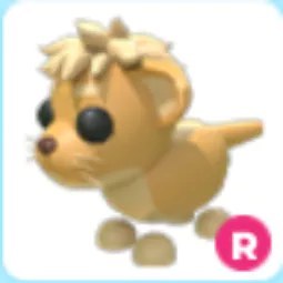 R Lion Cub