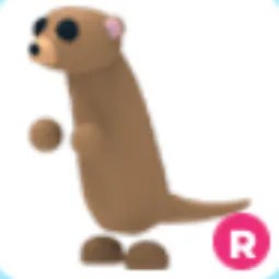 R Meerkat