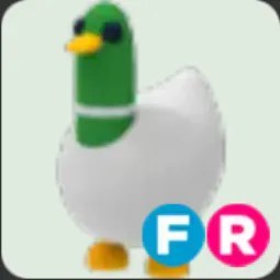 Silly Duck FR