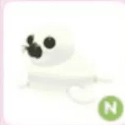 Harp Seal Neon
