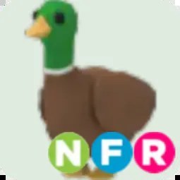 Drake NFR