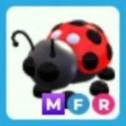 Ladybug MFR