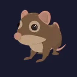 Shrew