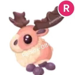 Papa Moose R