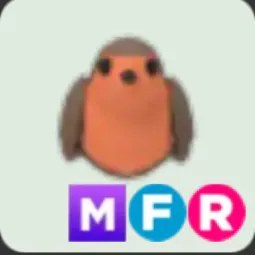 Robin MFR