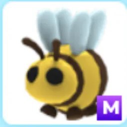 M Bee