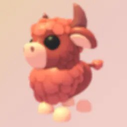 M Angus Bull