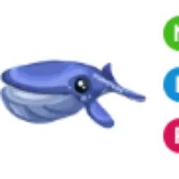 Blue Whale NFR