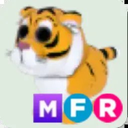 Lunar Tiger MFR