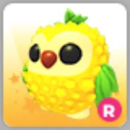 R Pineapple Owl