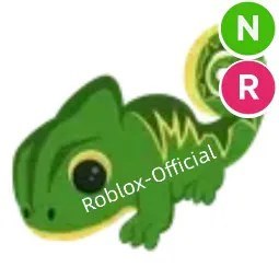 Chameleon NR