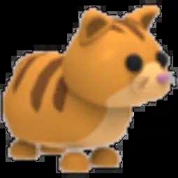 MR Ginger Cat