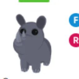 Rhino FR