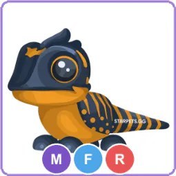 MFR Tegu