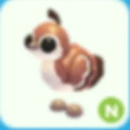 N Peachick