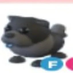Black Chow FR