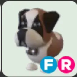 St Bernard FR