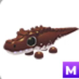 M Cocoadile