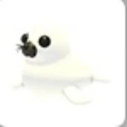 Harp Seal