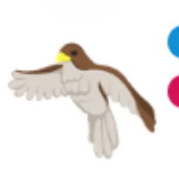 Hawk FR