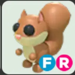 Red Squirrel FR