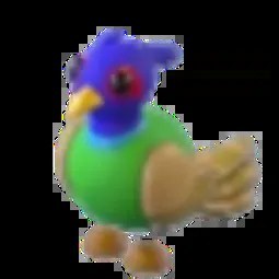Green Chested Pheasant