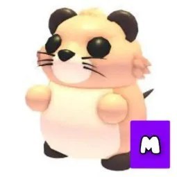 Muskrat Mega Neon