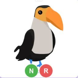 NR Toucan