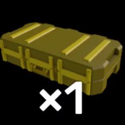 Skin Case 2