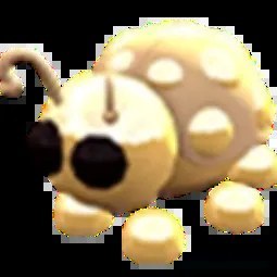 Golden Ladybug