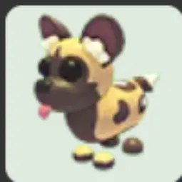African Wild Dog