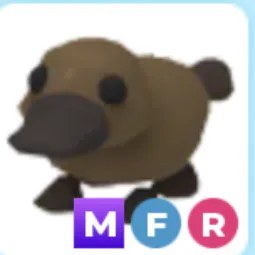 MFR Platypus