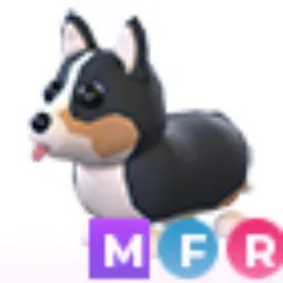 MFR Royal Corgi
