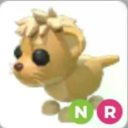 Lion Cub NR