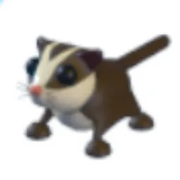 Sugar Glider