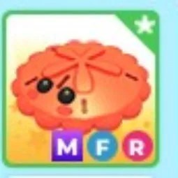 Red Sand Dollar MFR