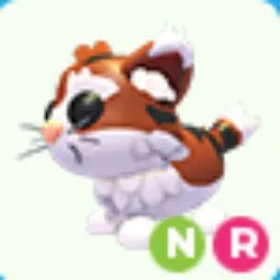 NR Munchkin Cat