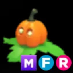 Pumpkin Friend MFR