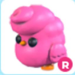 R Candyfloss Chick