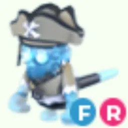 FR Pirate Ghost Capuchin Monkey
