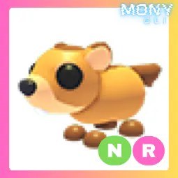 NR Groundhog