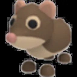 NR Shrew