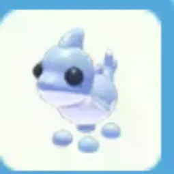 Shark Puppy