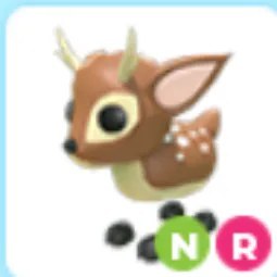 NR Fallow Deer