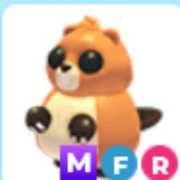 MFR Ranger Beaver