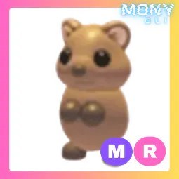 MR Quokka
