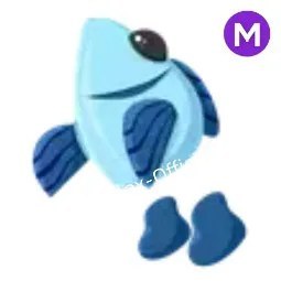 M Feesh